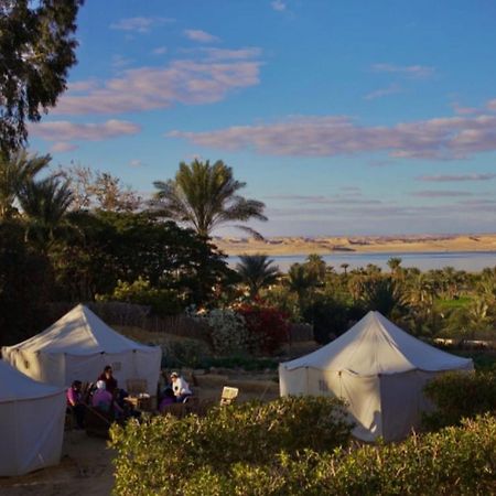 Tunis Village El-Fayoum Bagian luar foto