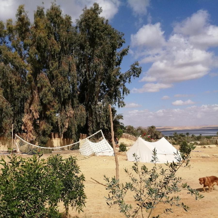 Tunis Village El-Fayoum Ruang foto