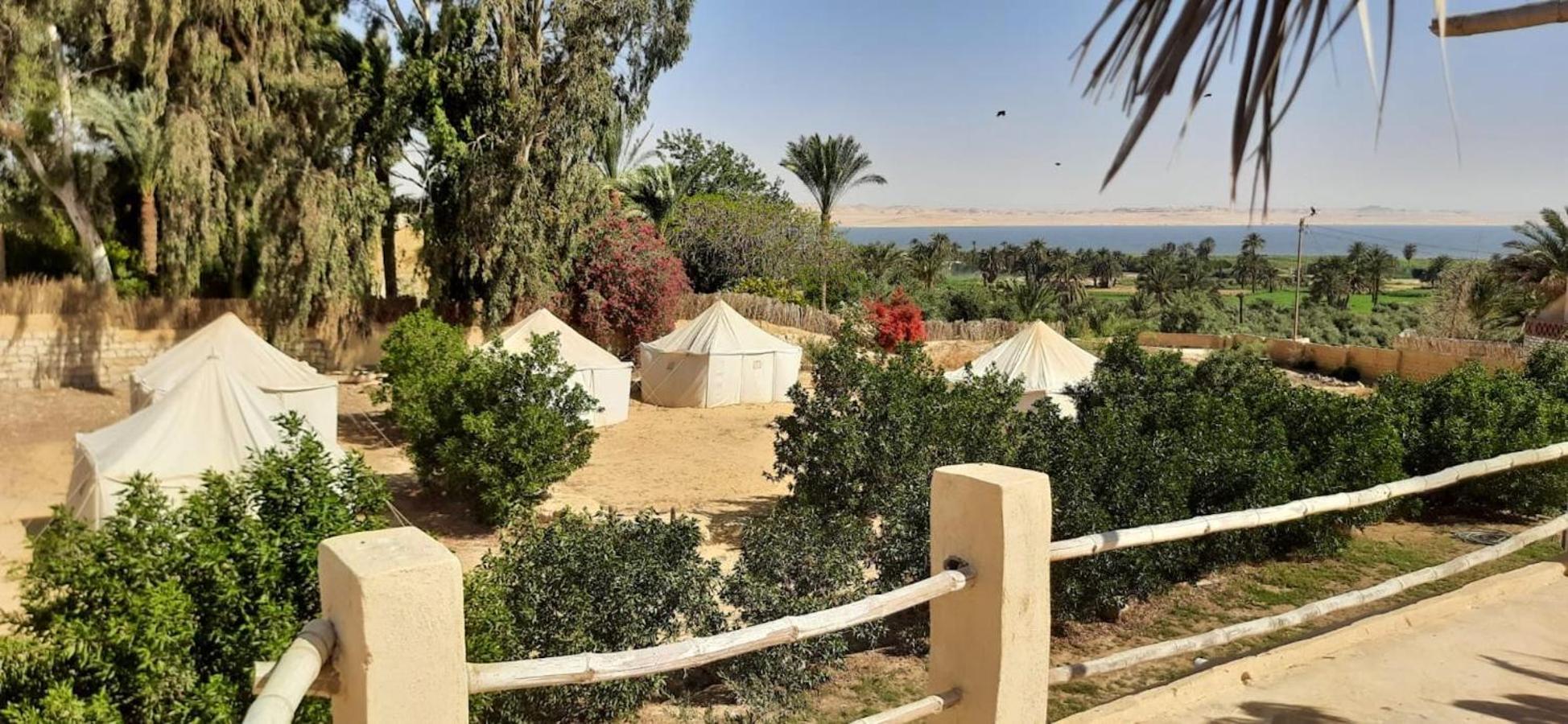 Tunis Village El-Fayoum Bagian luar foto