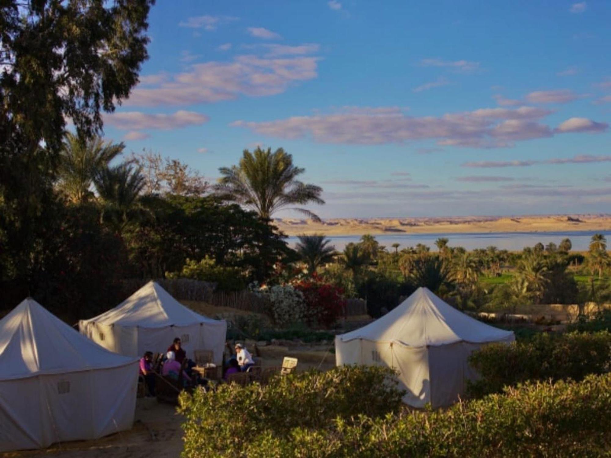 Tunis Village El-Fayoum Bagian luar foto